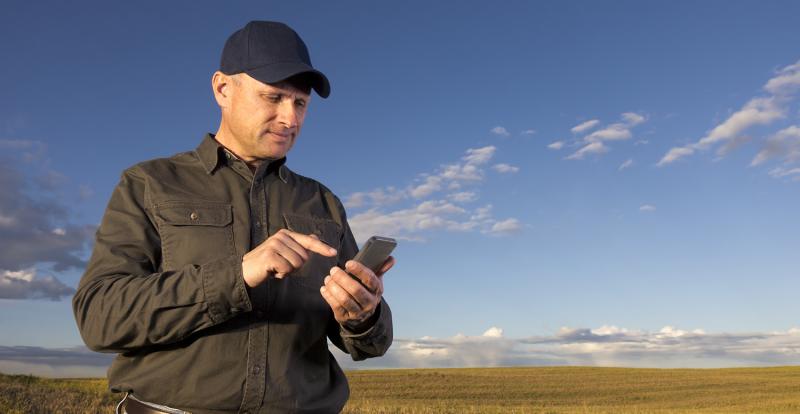 working on mobile phone in field