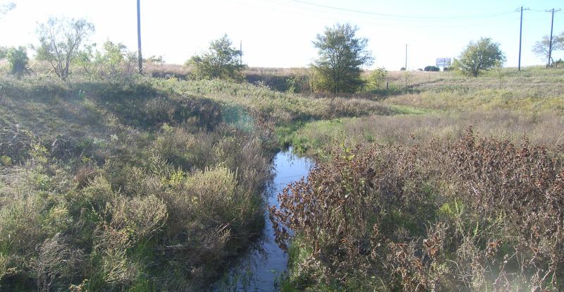 Relief route build alternatives to analyze and minimize environmental impact on US 377